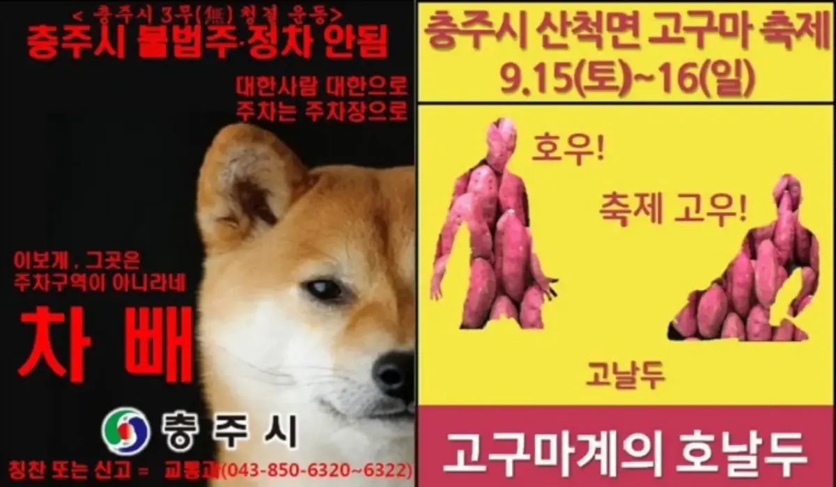 b급 마케팅 대표 사례 충주시