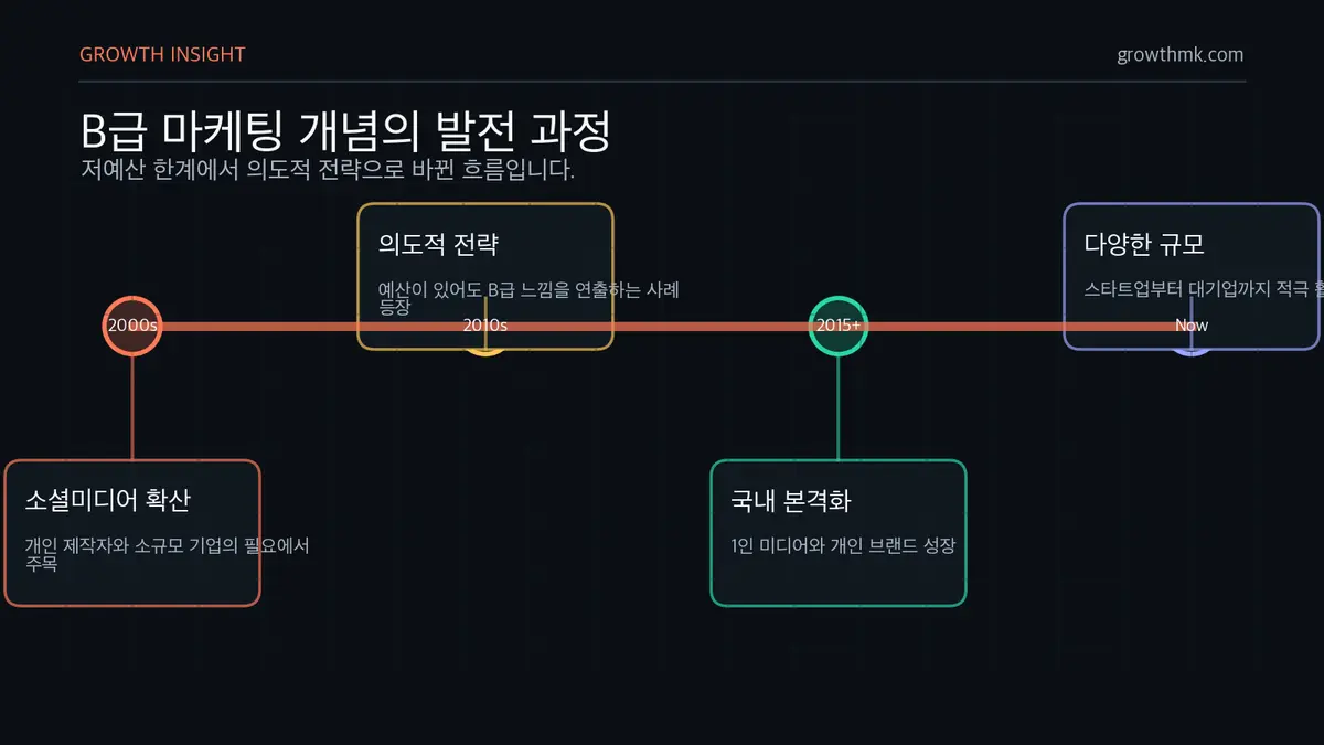 B급 마케팅 발전 과정 B급 마케팅은 2000년대 후반 소셜미디어 확산에서 주목받고 2010년대 의도적 전략으로 발전했으며 국내에서는 2015년 이후 본격화됐다.