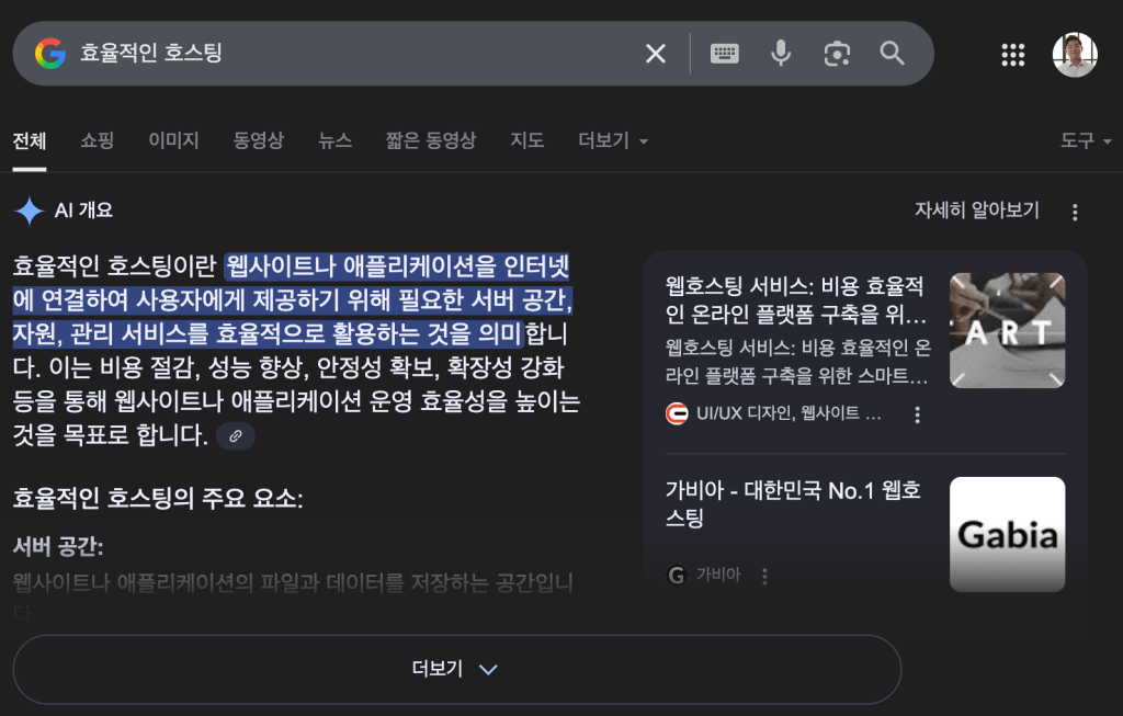 구글에서 '효율적인 호스팅'이라고 검색한 결과, AI Overview (AI 개요) 기능을 통해, 효율적인 호스팅의 정의와 주요 요소 등을 생성형 AI, Gemini가 정리해 준 결과가 제일 상단에 노출된다. 즉, 최근의 검색결과 (AI 개요)
